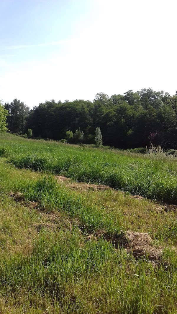 EHPAD Résidence Le Bois du Loret — photo principale
