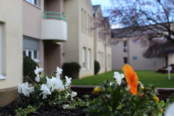 EHPAD Les Châtaigniers Les Fresnes — photo principale